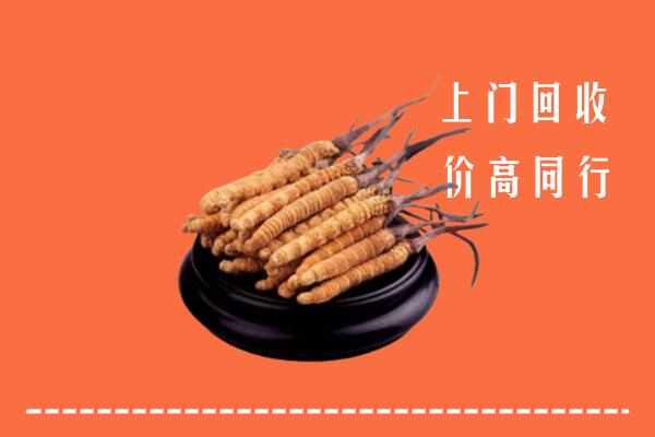 湛江回收冬虫夏草