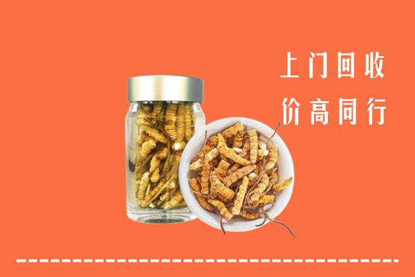 湛江回收冬虫夏草